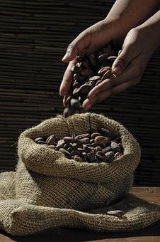 Cocoa beans 499970 340